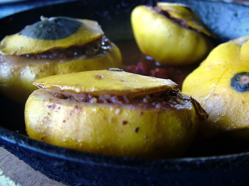 kangaroo stuffed summer squash