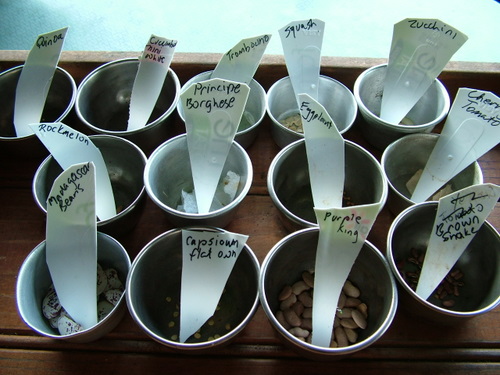 Seeds for summer planting