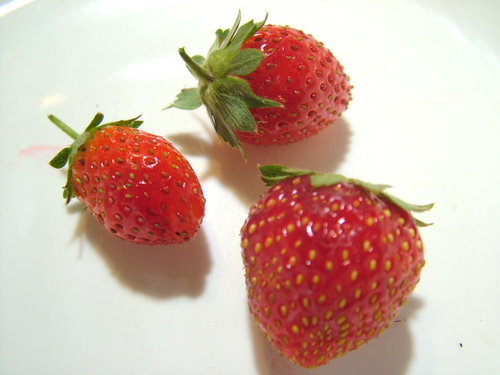 strawberries