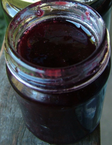 davidson plum jam