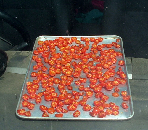 tomatoes drying