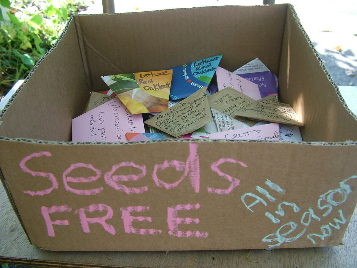 Our Permaculture Life: DIY Super-Easy Origami Seed Envelopes